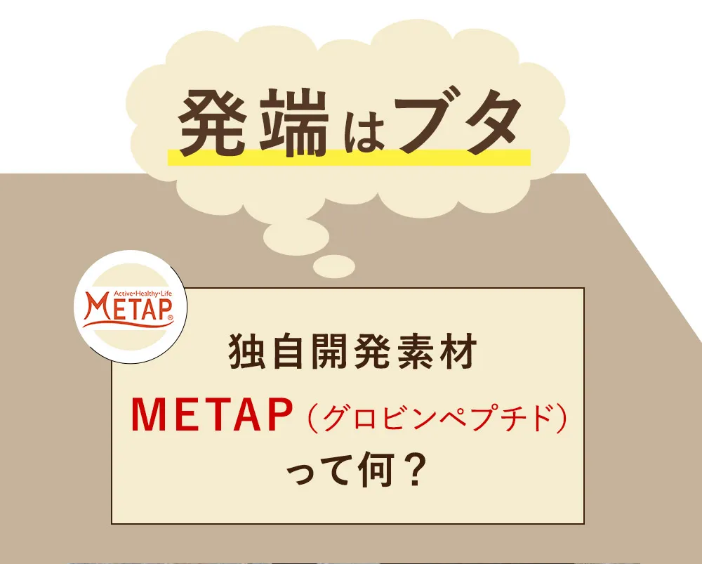 発端はブタ独自開発素材METAP（グロビンペプチド）って何？