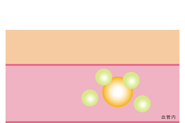 グラフ：脂肪を分解するリポ蛋白リパーゼを活性化。代謝を促進する。