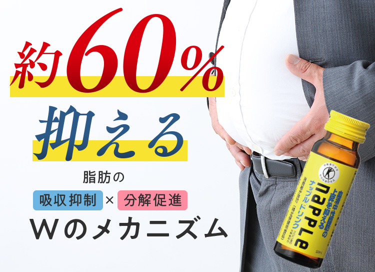 食後の血清中性脂肪の上昇を約60%抑える 脂肪の吸収抑制×分解促進 Wのメカニズム