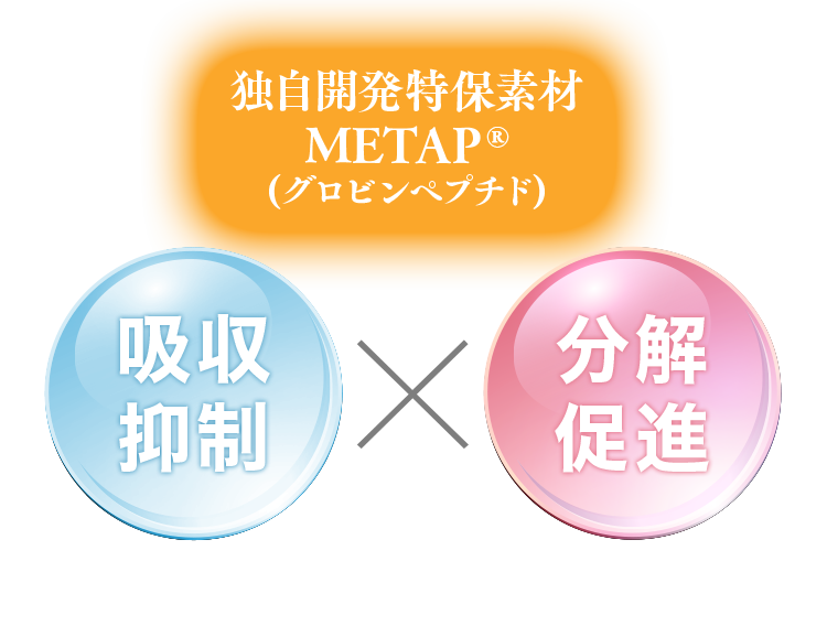 独自開発特保素材METAP®(グロビンペプチド) 脂肪抑制×分解促進