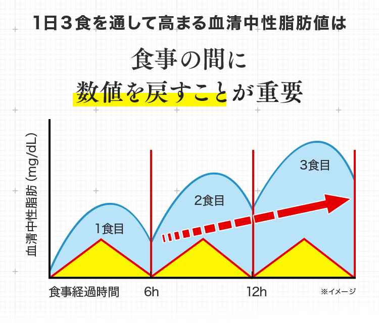 1日３食を通して高まる血清中性脂肪値は食事の間に数値を戻すことが重要