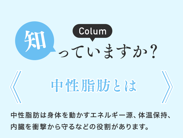 Column 知っていますか？ 中性脂肪とは 中性脂肪は身体を動かすエネルギー源、体温保持、内臓を衝撃から守るなどの役割があります。