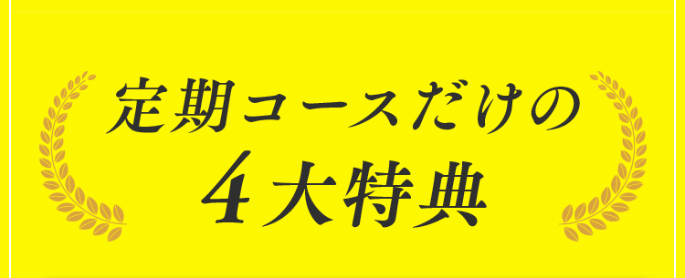 定期コースだけの4大特典