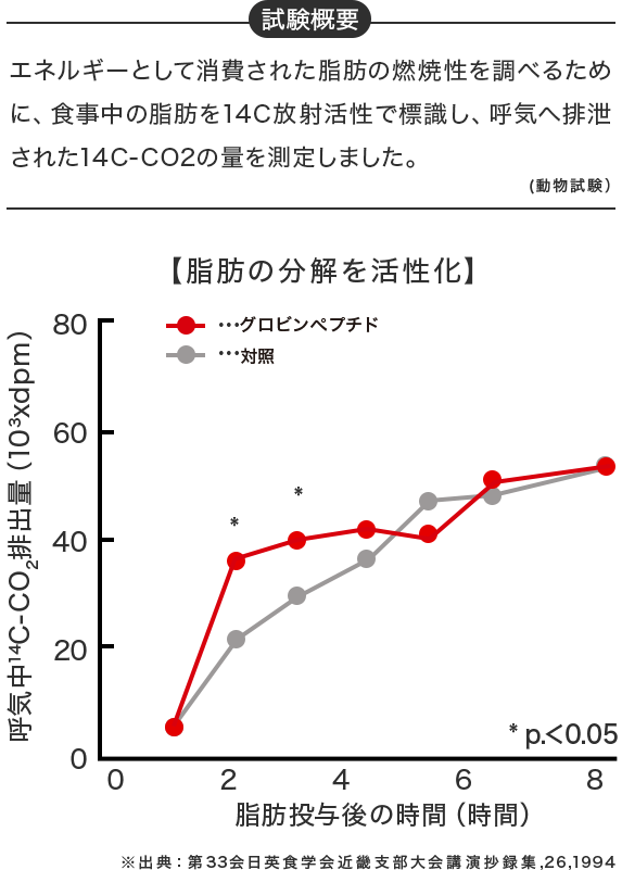 試験概要：エネルギーとして消費された脂肪の燃焼性を調べるために、食事中の脂肪を14C放射活性で標識し、呼気へ排泄された14C-CO2の量を測定しました。（動物試験）グラフ：脂肪の分解を活性化