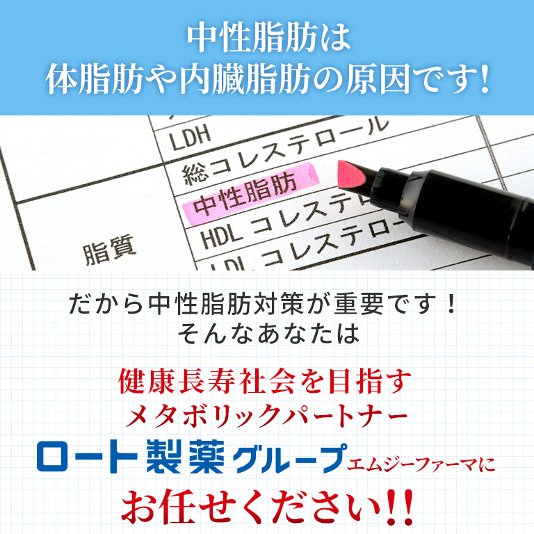 中性脂肪は体脂肪や内臓脂肪の原因です!だから中性脂肪対策が重要です！そんなあなたは健康長寿社会を目指すメタボリックパートナーエムジーファーマにお任せください！！