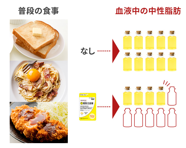 普段の食事血液中の中性脂肪